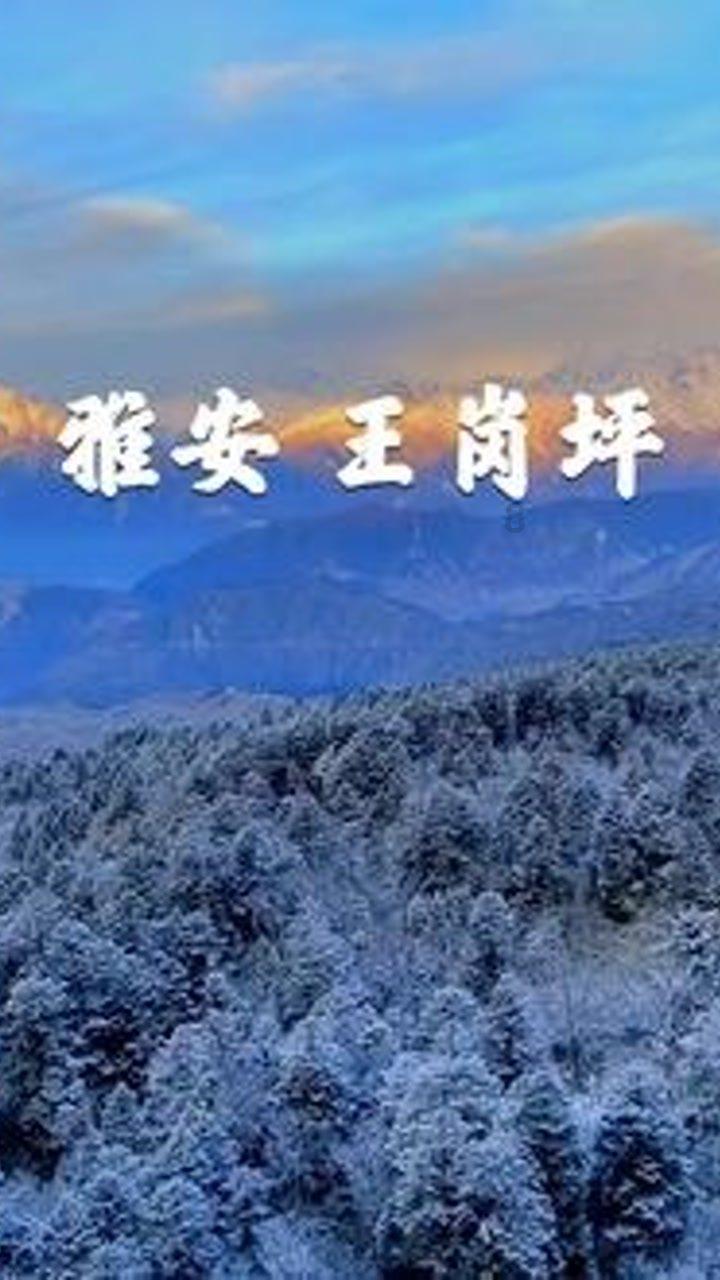 家长请注意！事关寒假！