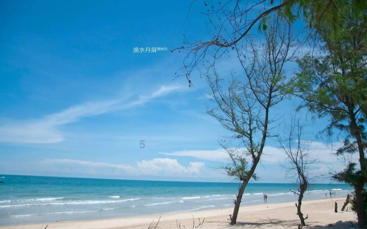 组装机械警暴龙