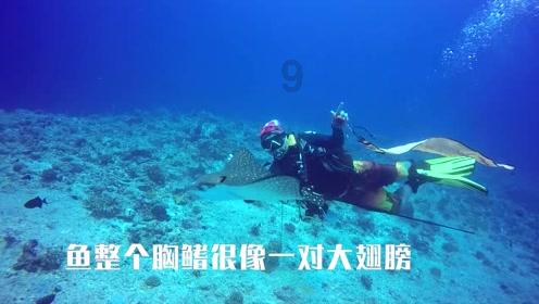 秦川物联2023年预亏 2020年上市即巅峰募4.8亿