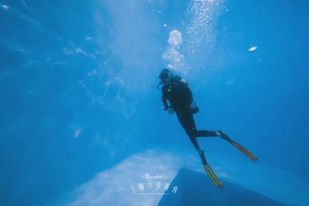 2023河南政务微信影响力·景区类年度卓越公众号榜单公布