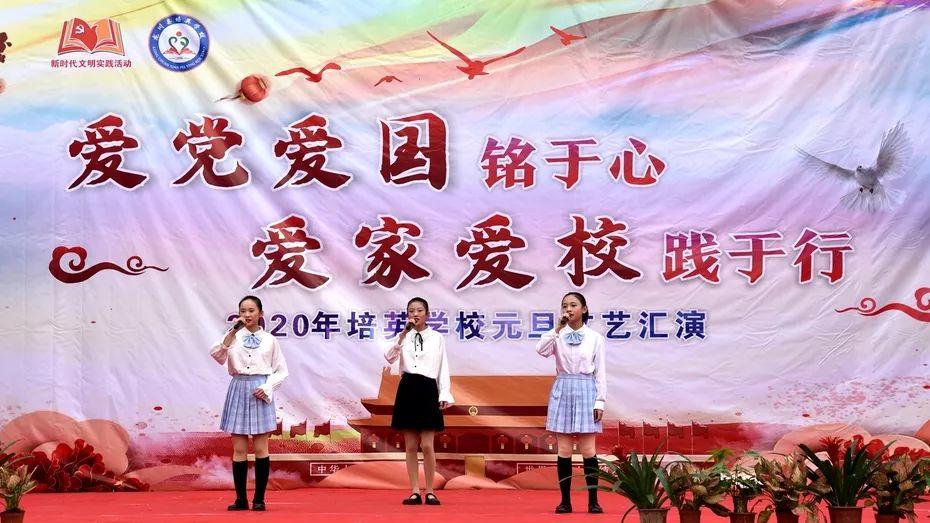 合金装备：幸存