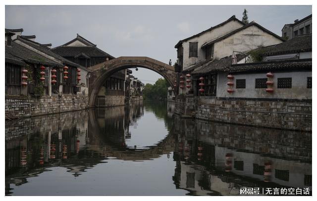 救援小棕兔