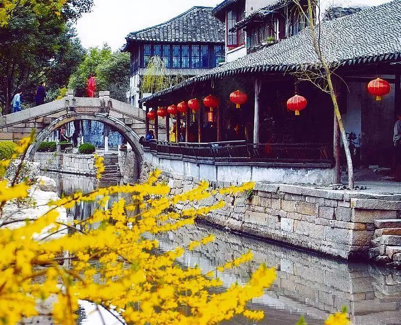 奥日与黑暗森林