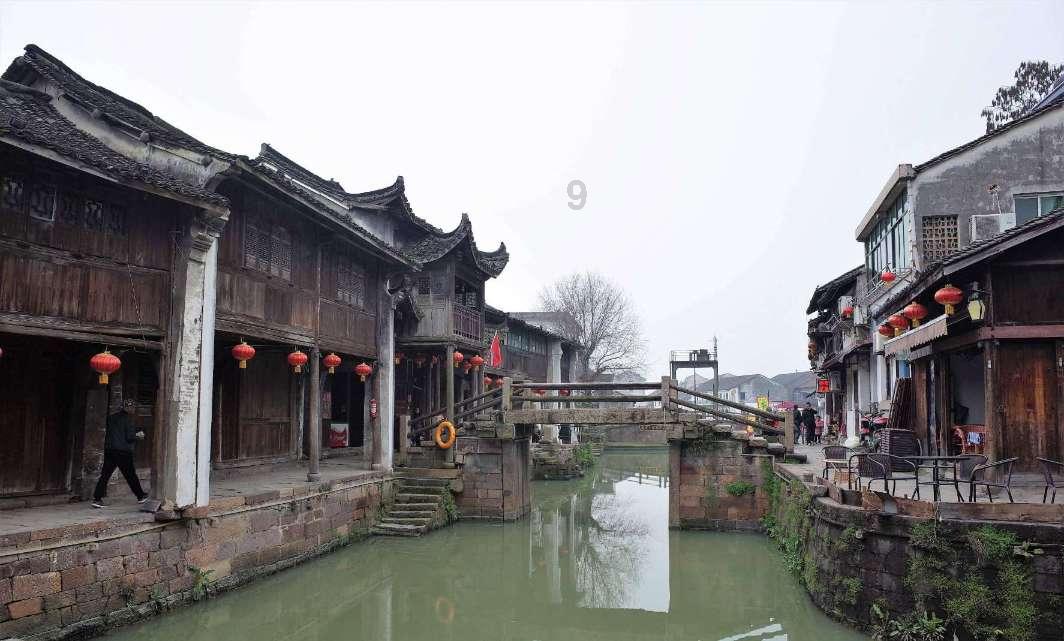 我国学者发现新物种大别山壁虎，研究人员：最大特点是“爱咬人”